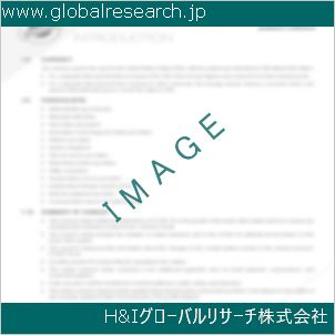 グローバルリサーチ調査資料のイメージ